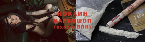 jwh Белокуриха