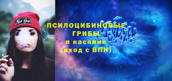 дживик Беломорск