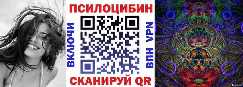 Псилоцибиновые грибы мухоморы  блэк спрут как войти  Катав-Ивановск  где купить  